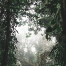 저지한의원 이미지