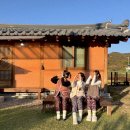 천안 펜션 감성숙소 ‘시골램핑’ 촌캉스 솔직 후기(+벌레)