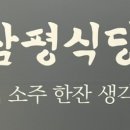 삼평 티스토리