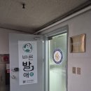 바른발애 - 양평군 | 신논현마사지 바른발애 반포점 솔직후기