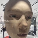 소사탕후루 | [중국 대련 2박 3일 여행] #1 입국 신고서 작성/필수 어플/그랜드 플라자 호텔 신하이 대련/수건 케이크...