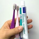 엠(m)덴탈 | 강아지 입냄새제거 치석관리껌 트윙클츄! 할인할 때 사봤음