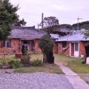 거북이가든 이미지