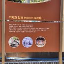 대성관온천 이미지