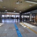 달빛시장 | 국내여행 부산 → 강릉 기차 1일차 중앙시장, 달빛강릉 숙소 후기, 맛집 추천