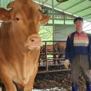 문병철농장 이미지