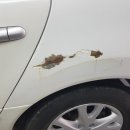 명품덴트칼라 이미지