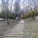 장수천약수터 | [백패킹]부산"승학산" 퇴근박 : 억새 4탄 부산일과학고 방향(헬기장)