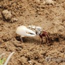 중선포천 이미지