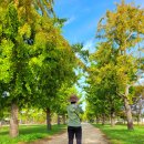 굴암경로당 이미지