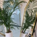 37.5하남미사점 이미지