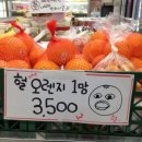 디씨마트 이미지