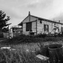 대진5리해변 이미지