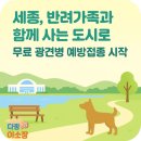 가온메디컬공인중개사사무소 | 세종시, 반려가족과 함께 사는 도시로 - 무료 광견병 예방접종부터 펫 프렌들리 정책까지