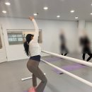 리즈발레무용학원 이미지