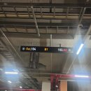 모네드 | 신대방삼거리속눈썹관리 예쁘게 해주는 모네드라인 후기