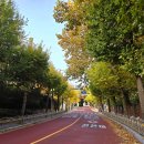 공원로370번길 이미지