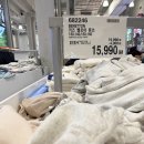 내일에프에스 | [코스트코] 2025년 12월 9일 4인 가족 일산 코스트코 쇼핑 목록 (12월 첫째 주 할인 상품)