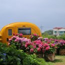 버들카페 이미지