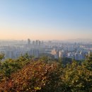 데크 조망점 이미지