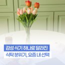정성담은소소한식탁 | 감성 식기 하나로 달라진 식탁 분위기, 요즘 내 선택