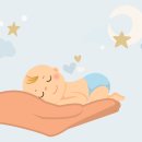 월드번역사무소 이미지