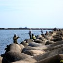 신항만도로 이미지