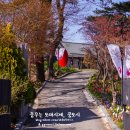 봄bom 이미지