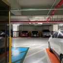 웅s의 몸사랑이야기 이미지