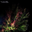 늘봄가든 이미지