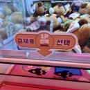 엘리스(인형뽑기방) 이미지