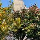 다은민박 이미지