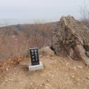 갈평목장 Daum카페