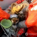 지원빌딩 - 광산구 비아로 12 | 지원빌딩