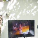 웨딩스위치 이미지