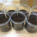 충우농장 이미지