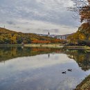 율동공원 이미지