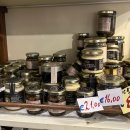 PIZZA DI ROMA | 이탈리아/로마 여행 Day2[콜로세움/포로로마노/팔라티노 언덕/트래비분수]