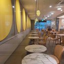 뉴코아베이커리 | 뉴코아 강남 빵집 밀도 리치식빵 러스크 베이커리 카페 후기