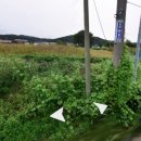 왕산보건지소 이미지