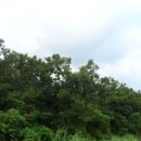 수망리교차로 2 이미지