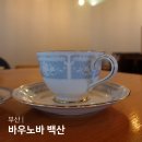 부산 남포동 중앙동 카페 바우노바백산 한 잔 주문하면 두 잔 주는 핸드드립커피 맛집