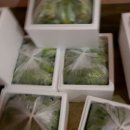 미소농장 이미지