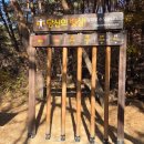 편백숲 | 아이와 가볍게 다녀온 울산 천마산 편백숲 산책코스 후기