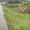 산서농장 이미지