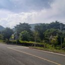 창포동3가010 이미지