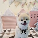 문정미용타운 이미지