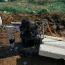 정필농장 이미지