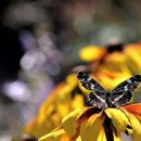 제일종합동물병원 이미지