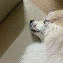 베프앤코 | 잘 가라 유월